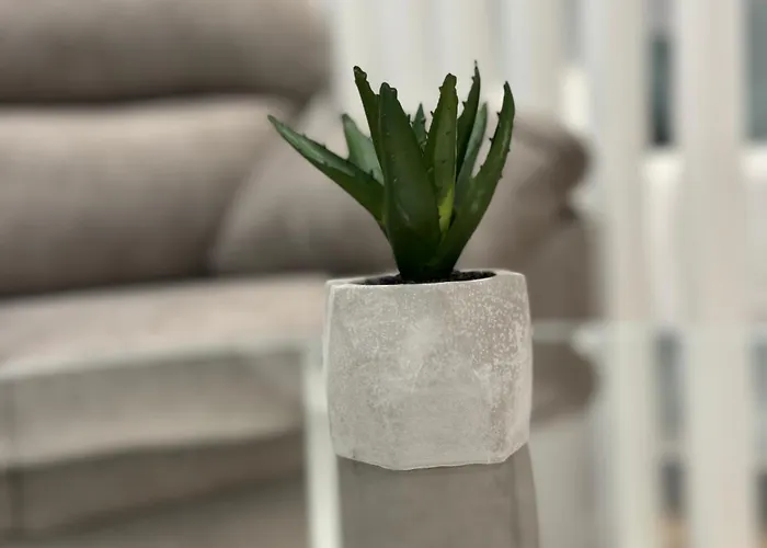 Mk77 Se7ven דירה *